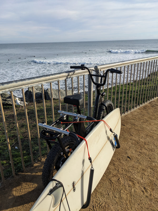 Particle Cord Lock Set (pair), 6'