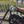MBB Shortboard Racks