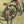 CSR Max Rack with SUP Lower Bars - Moved By Bikes (MBB)