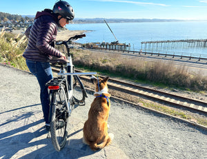 MBB Dog Runners - Moved By Bikes (MBB)