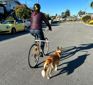 MBB Dog Runners - Moved By Bikes (MBB)
