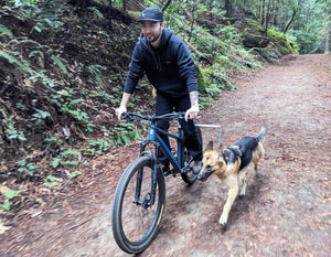 MBB Dog Runners - Moved By Bikes (MBB)