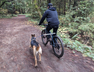 MBB Dog Runners - Moved By Bikes (MBB)