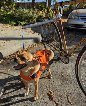 MBB Dog Runners - Moved By Bikes (MBB)