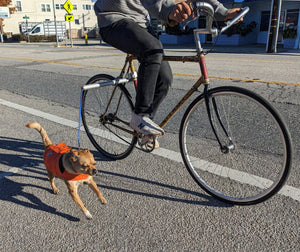 MBB Dog Runners - Moved By Bikes (MBB)