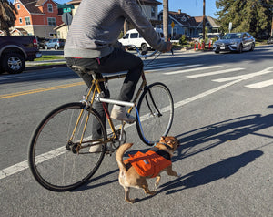MBB Dog Runners - Moved By Bikes (MBB)