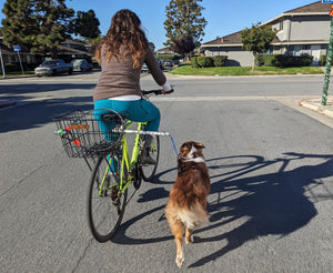 MBB Dog Runners - Moved By Bikes (MBB)