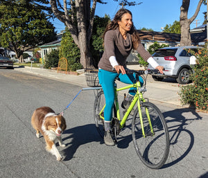 MBB Dog Runners - Moved By Bikes (MBB)