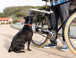 MBB Dog Runners - Moved By Bikes (MBB)