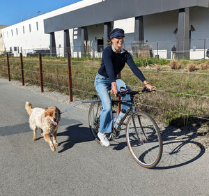 MBB Dog Runners - Moved By Bikes (MBB)