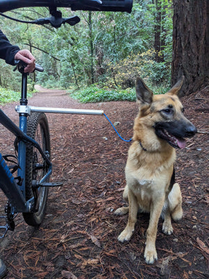 MBB Dog Runners - Moved By Bikes (MBB)
