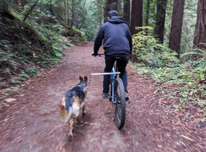 MBB Dog Runners - Moved By Bikes (MBB)