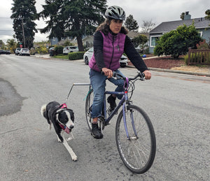 MBB Dog Runners - Moved By Bikes (MBB)
