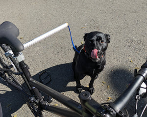 MBB Dog Runners - Moved By Bikes (MBB)