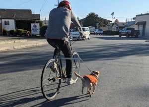 MBB Dog Runners - Moved By Bikes (MBB)