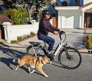 MBB Dog Runners - Moved By Bikes (MBB)