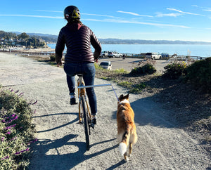 MBB Dog Runners - Moved By Bikes (MBB)