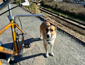 MBB Dog Runners - Moved By Bikes (MBB)