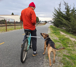 MBB Dog Runners - Moved By Bikes (MBB)
