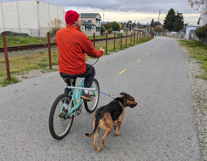 MBB Dog Runners - Moved By Bikes (MBB)