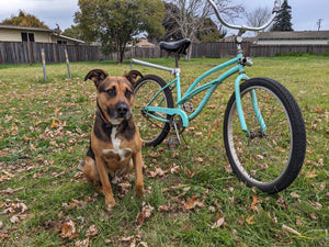 MBB Dog Runners - Moved By Bikes (MBB)